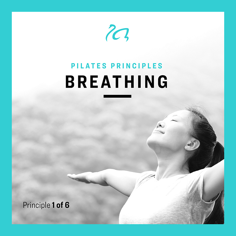 Pilates Principles  – Breathing